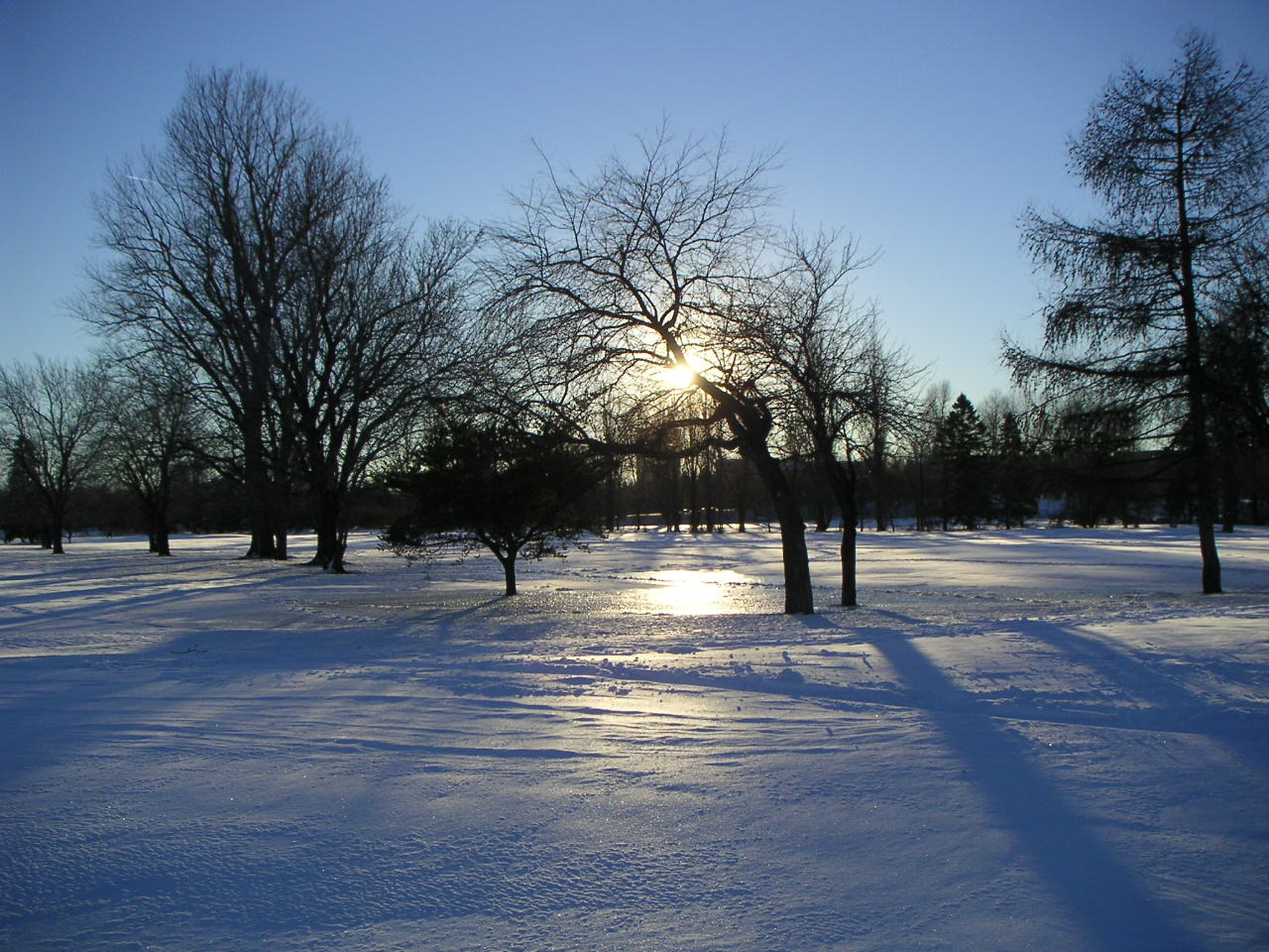 Parc Maisonneuve